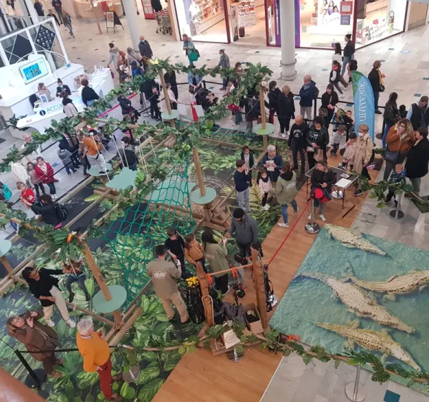 Jungle Challenge